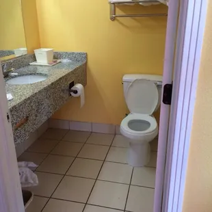 Toilet area
