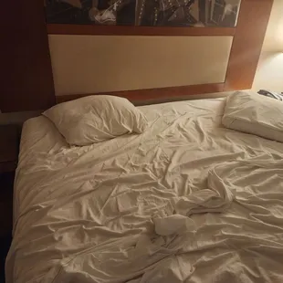 Two flimsy pillows... no blanket