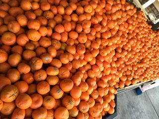 C And A Fresh Produce