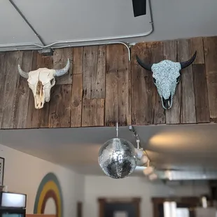 a cow skull and a disco ball