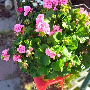 Sunrise Village MHP Pink Floral Outdoor Planter