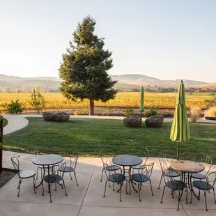 A great setting for a company picnic and lawn games