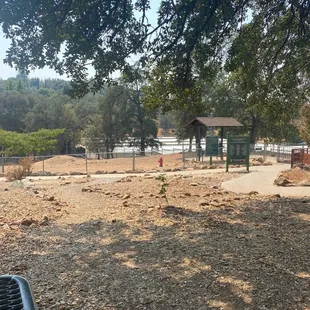 The dog area.
