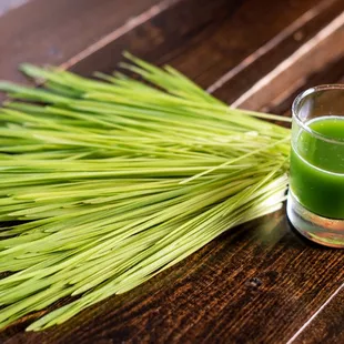 Wheatgrass Shot