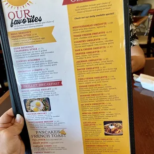 03.28.21 omelettes and skillets