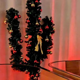 Catus Christmas tree - lovveee it lol