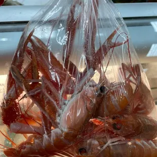 Shrimp with claws. They were so tasty