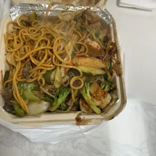 Mongolian Plate
