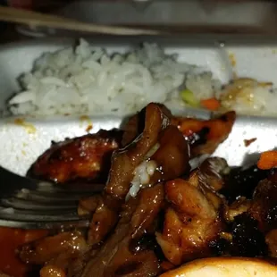 Yum. Chicken and Pork Teriyaki combo