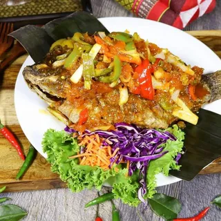 Tilapia