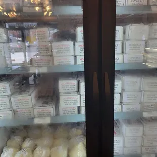 Frozen section