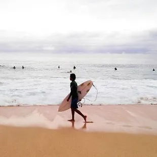 Surfer at Pipeline 2013