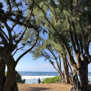 The walkway to the beach