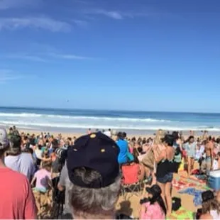 Pipeline Masters 2013!