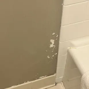 Paint in bathroom peeling and bubbling - disgusting grout lines