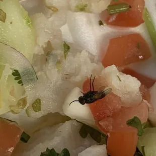 Ceviche with a added fly