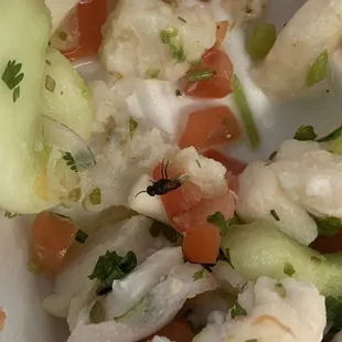 Ceviche
