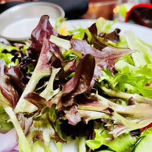 House salad with a side of ranch dressing.