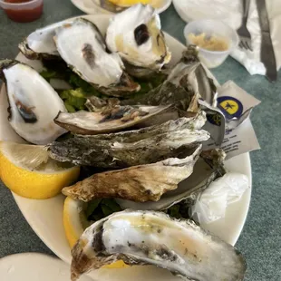 Fresh Raw Oysters