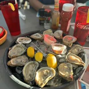 Raw oysters