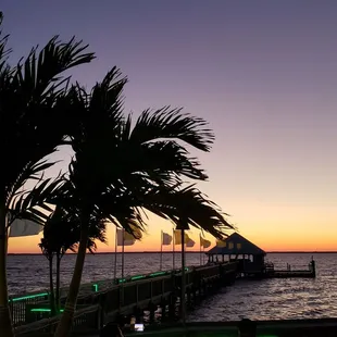 a dock and palm trees