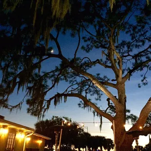 outside, sushi and sashimi