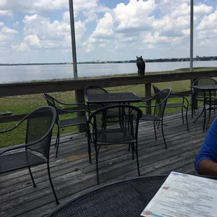 hostess "tossed" us menus after seating us and said a waiter will be with us soon. No Hi. She treated us like an inconvenience.