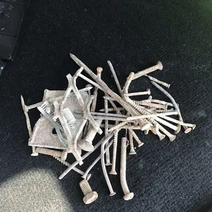 All these screws were collected just from around the damaged tire.