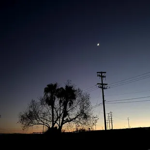Views of a starry night
