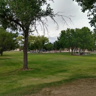 Overview of the park.