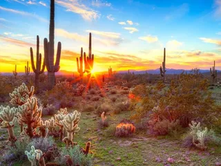 Agape Hospice & Palliative Care