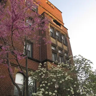 Dixon H.