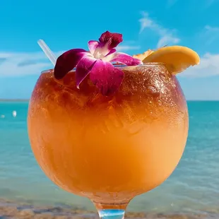 THE MIA TIA IS TO DIE FOR