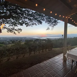 Off the Patio