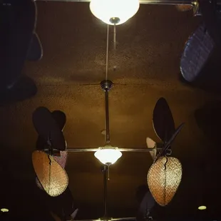 Ceiling fans!