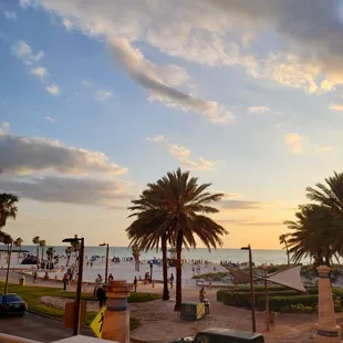 a view of the beach and palm trees