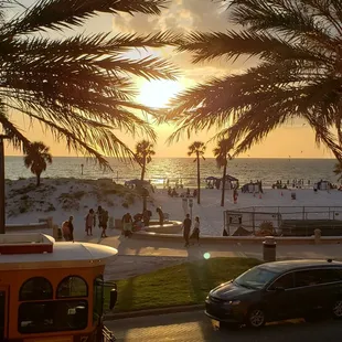 a view of a beach with palm trees