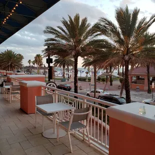 a view of the ocean and palm trees