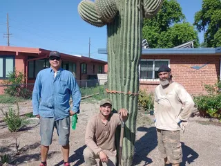 Arctic Cactus