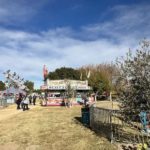people walking around a fair