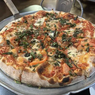 Margherita Pizza - 14" Medium