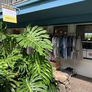 The shop is behind these monstera plants.
