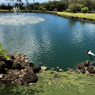 Pond during the day.