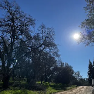 Pretty day to check out the farm.