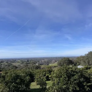 The stunning view