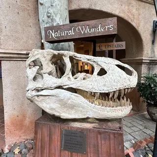 K O.