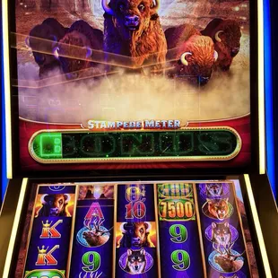 Fill up the green bonus bar and you just might make your night a whole lot better.