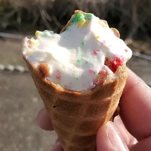 Birthday cake ice cream in a #4 cone