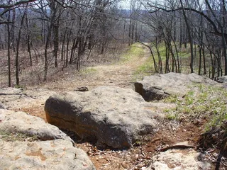 Monkey Mountain Nature Preserve