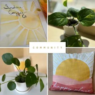 a collage of photos of plants